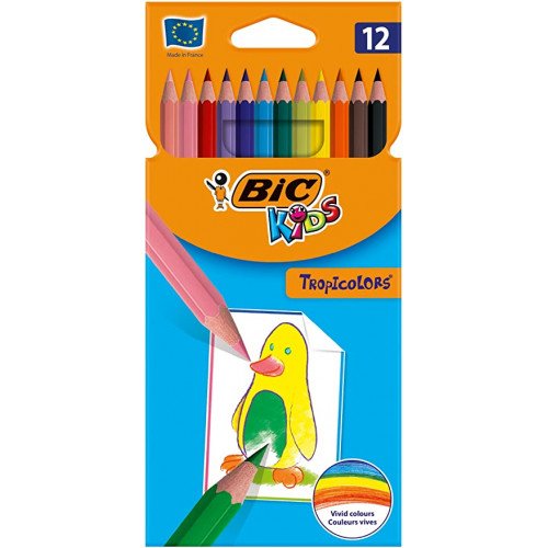 POCHETTE DE 12 CRAYONS COULEURS EVOLUTION - BIC