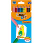 POCHETTE DE 12 CRAYONS COULEURS EVOLUTION - BIC