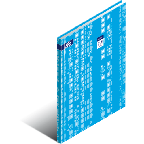 Cahier Registre 300 pages