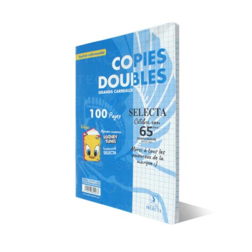 Copie double 100pages 21*29.7