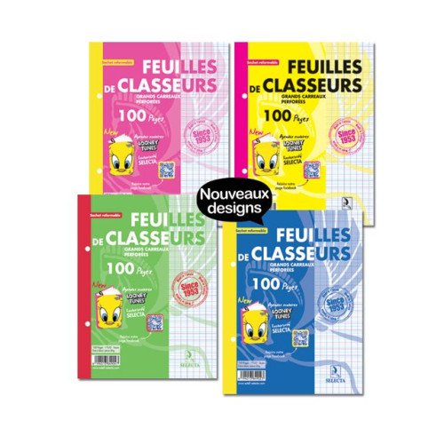 Feuilles Classeurs 100 pages 21*29.7 sys couleurs