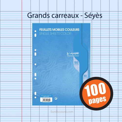 Feuilles Classeurs 100 pages 21*29.7 sys Blanc Oscar