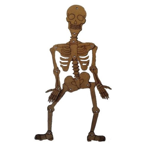 Squelette corps humain en bois